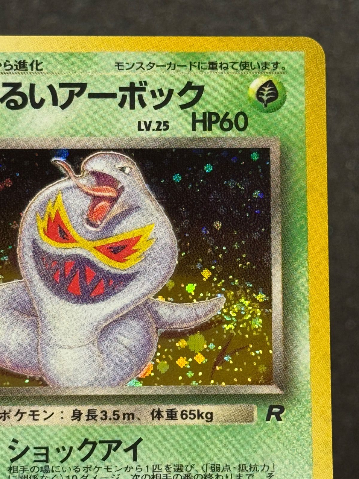 旧裏】わるいアーボック LV.25 ☆ No.024 ロケット団 ポケモンカード