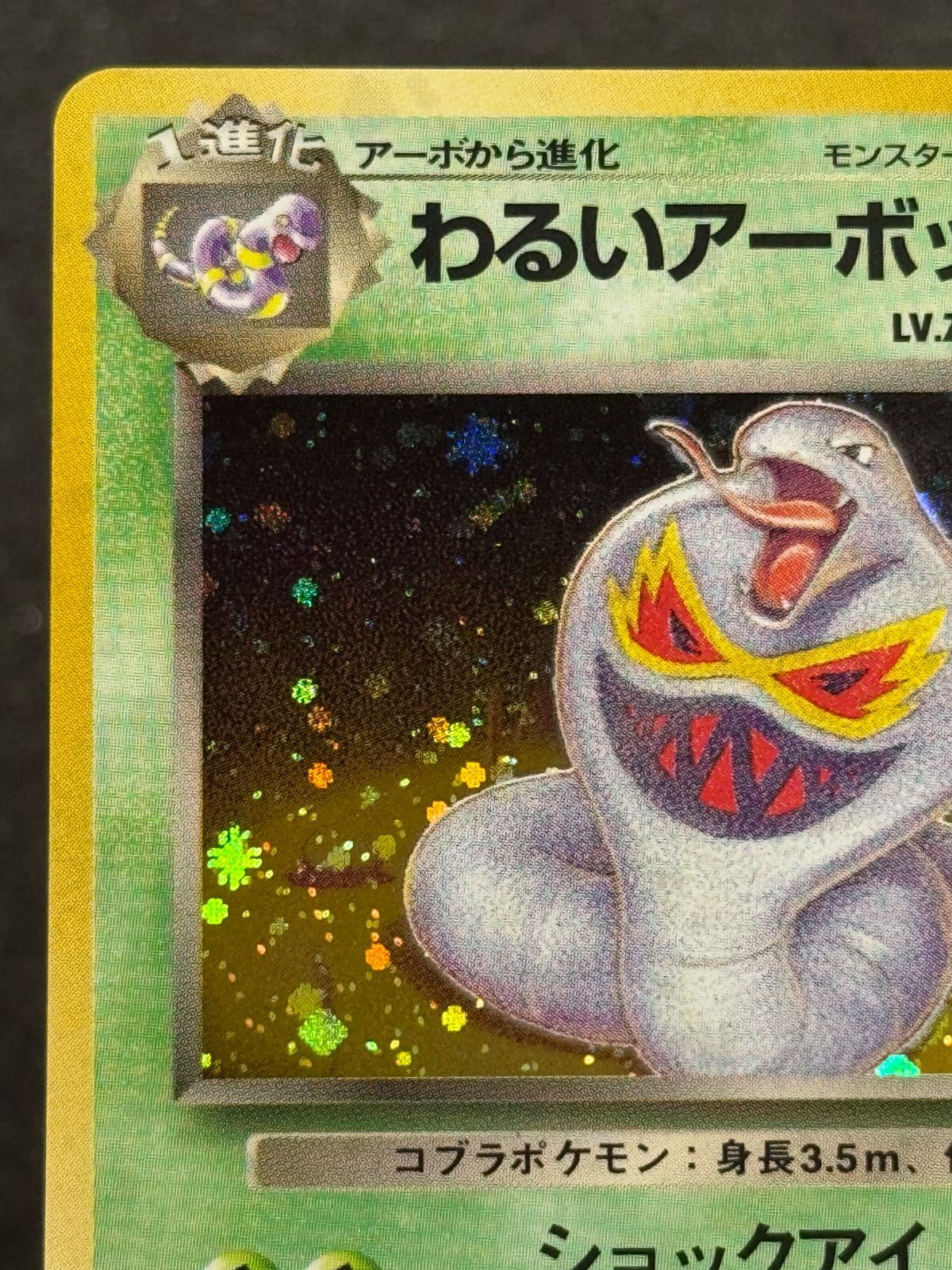 旧裏】わるいアーボック LV.25 ☆ No.024 ロケット団 ポケモンカード
