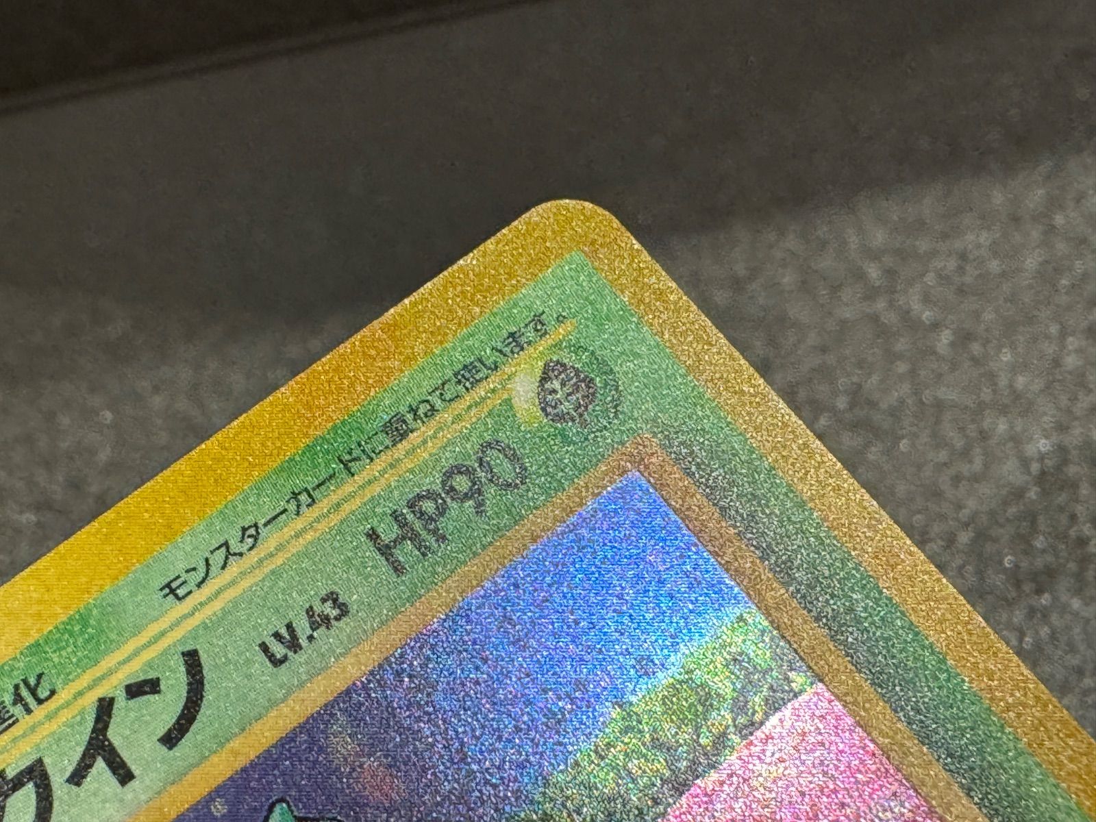 旧裏】ニドクイン LV.43 ☆ No.031 ポケモンジャングル ポケモンカード 