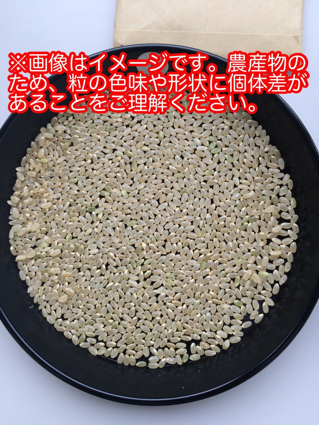 令和7年産 岩手県産「ひとめぼれ」玄米 30kg 検査1等米 送料込み 送料