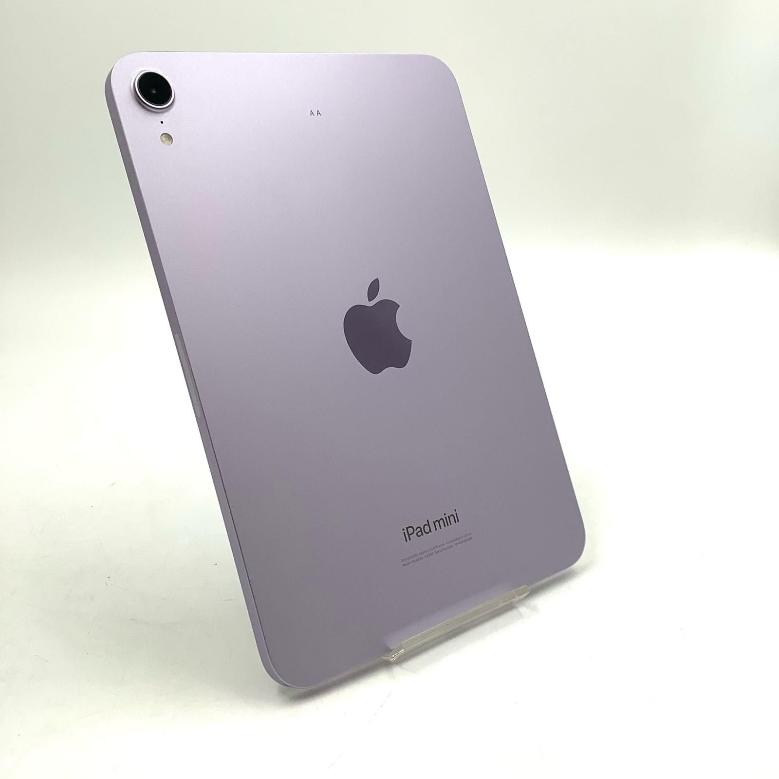 iPad mini 8.3