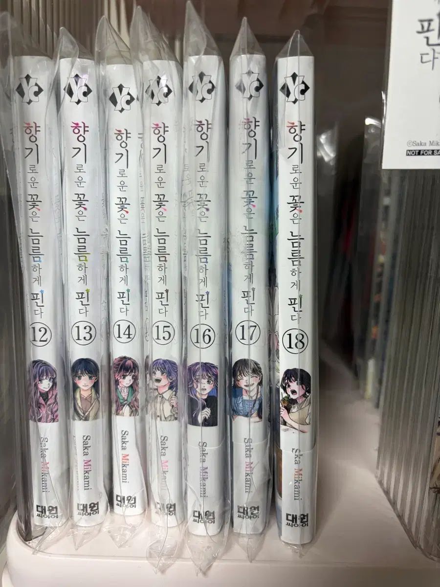 レトロ　シングルCD セット 漫画 初回版 O 香ばしい 花は 凛々しく ピンだ