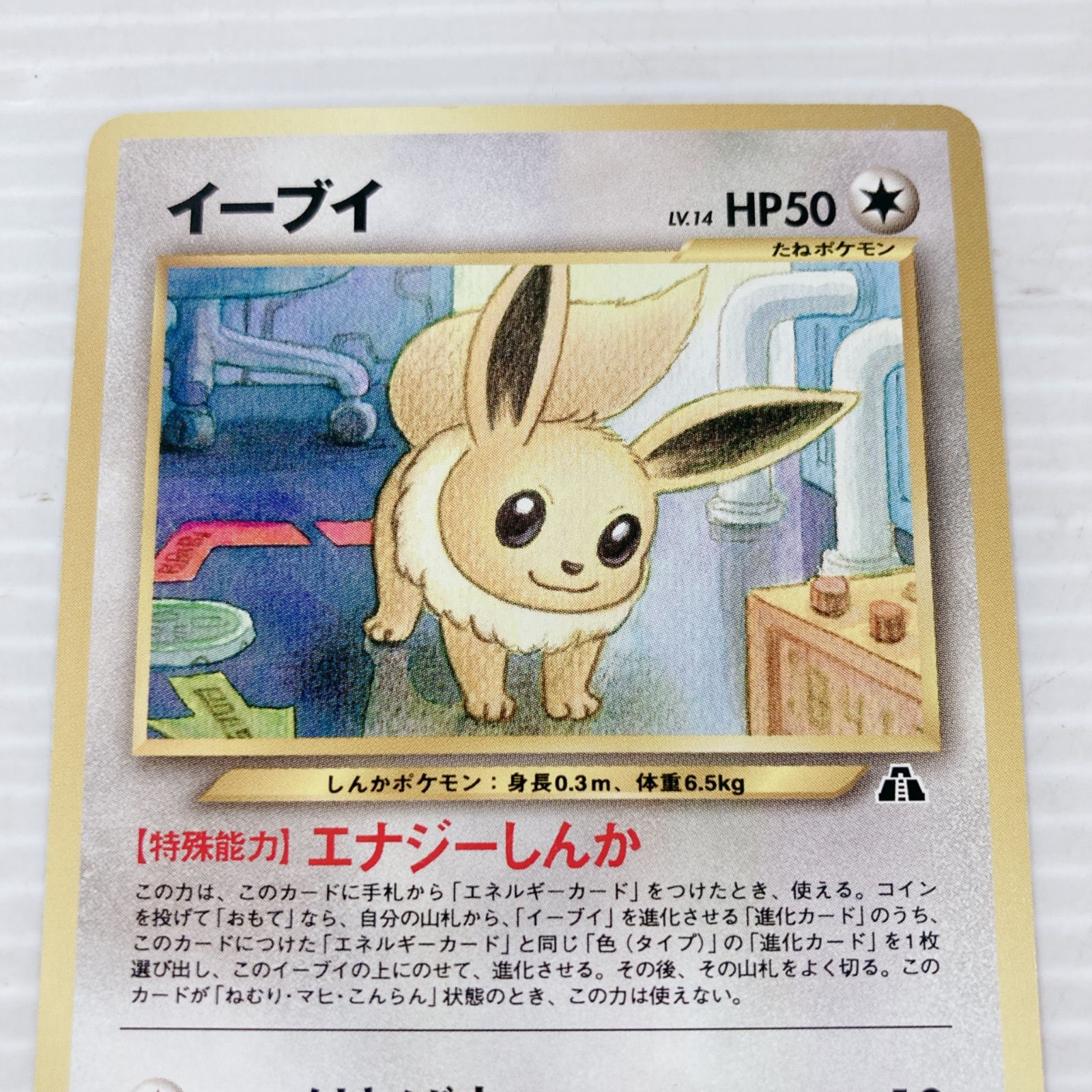 ポケモンカードゲーム ポケカ イーブイ 2枚セット No.133