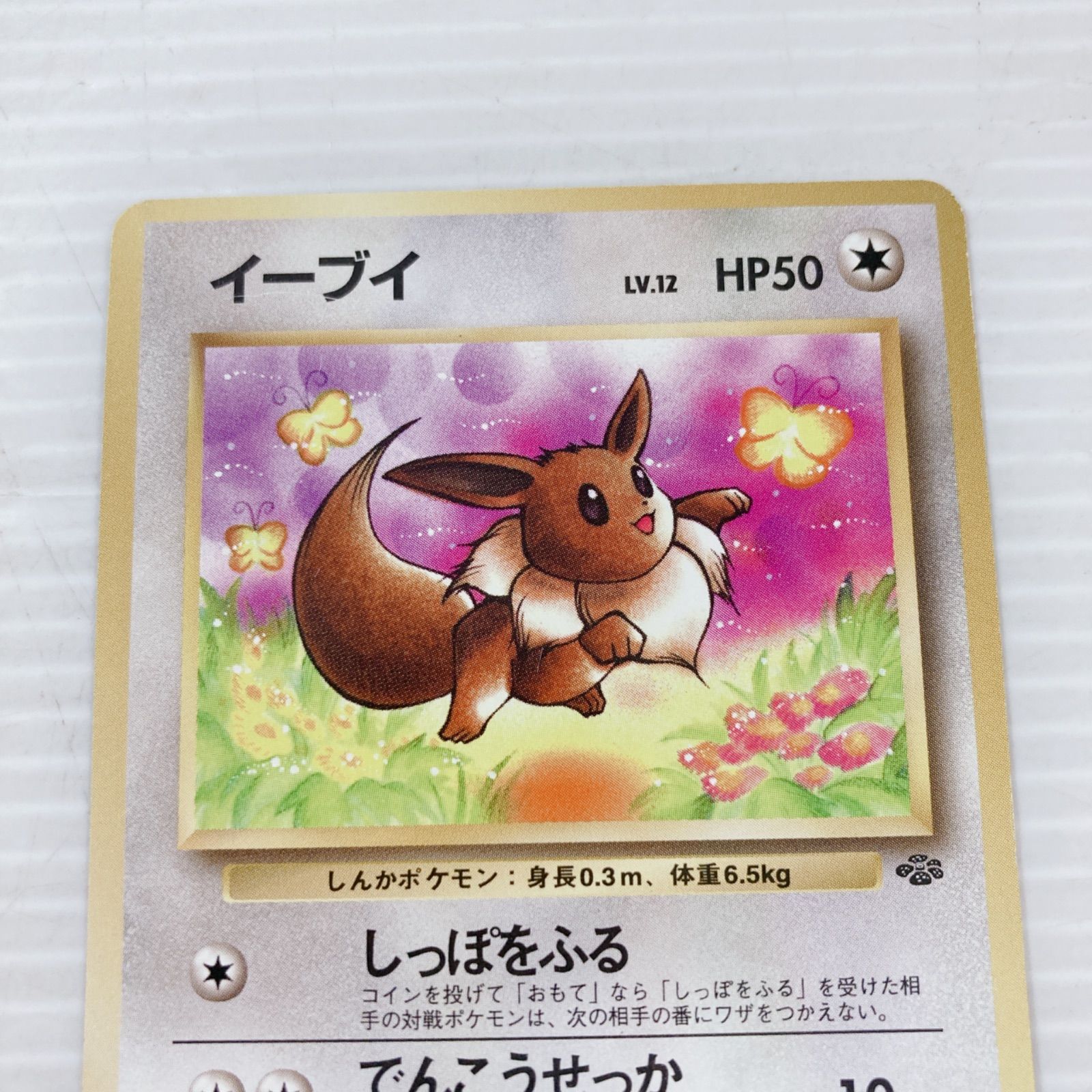 ポケットモンスター ポケモンカードゲーム ポケカ イーブイ