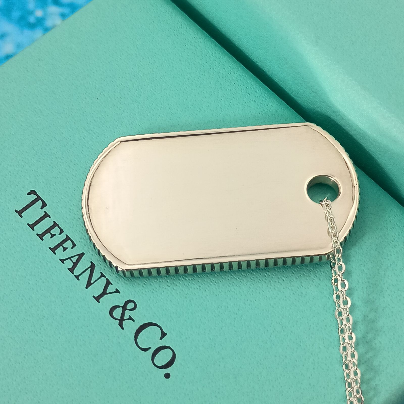 TIFFANY&Co. ティファニー ドッグタグ コインエッジ ネックレス メンズ 