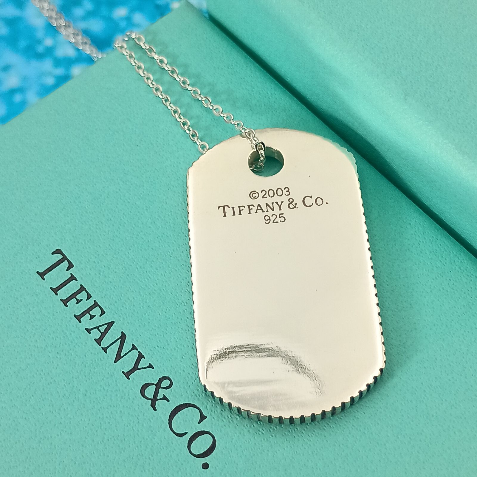 TIFFANY&Co. ティファニー ドッグタグ コインエッジ ネックレス メンズ