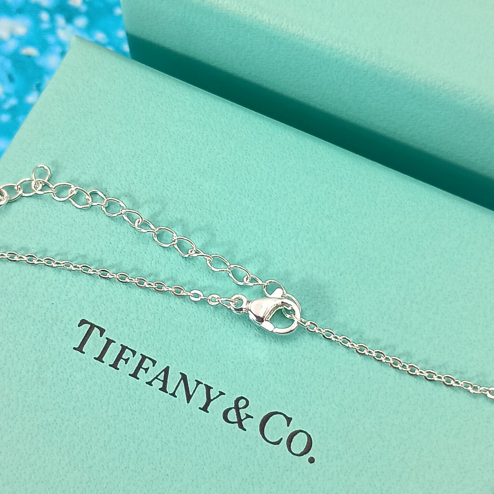 TIFFANY&Co. ティファニー ドッグタグ コインエッジ ネックレス メンズ