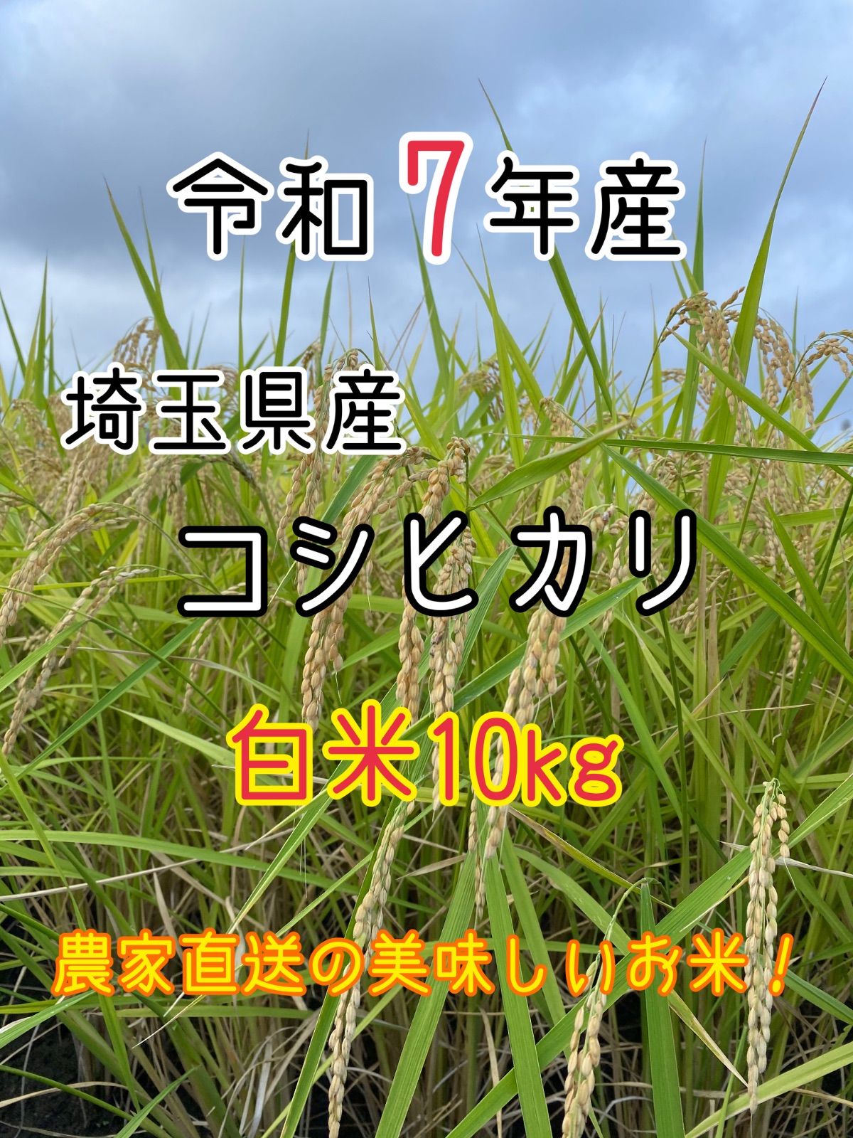 【白米10kg】農家直送！美味しいお米！埼玉県産コシヒカリ！