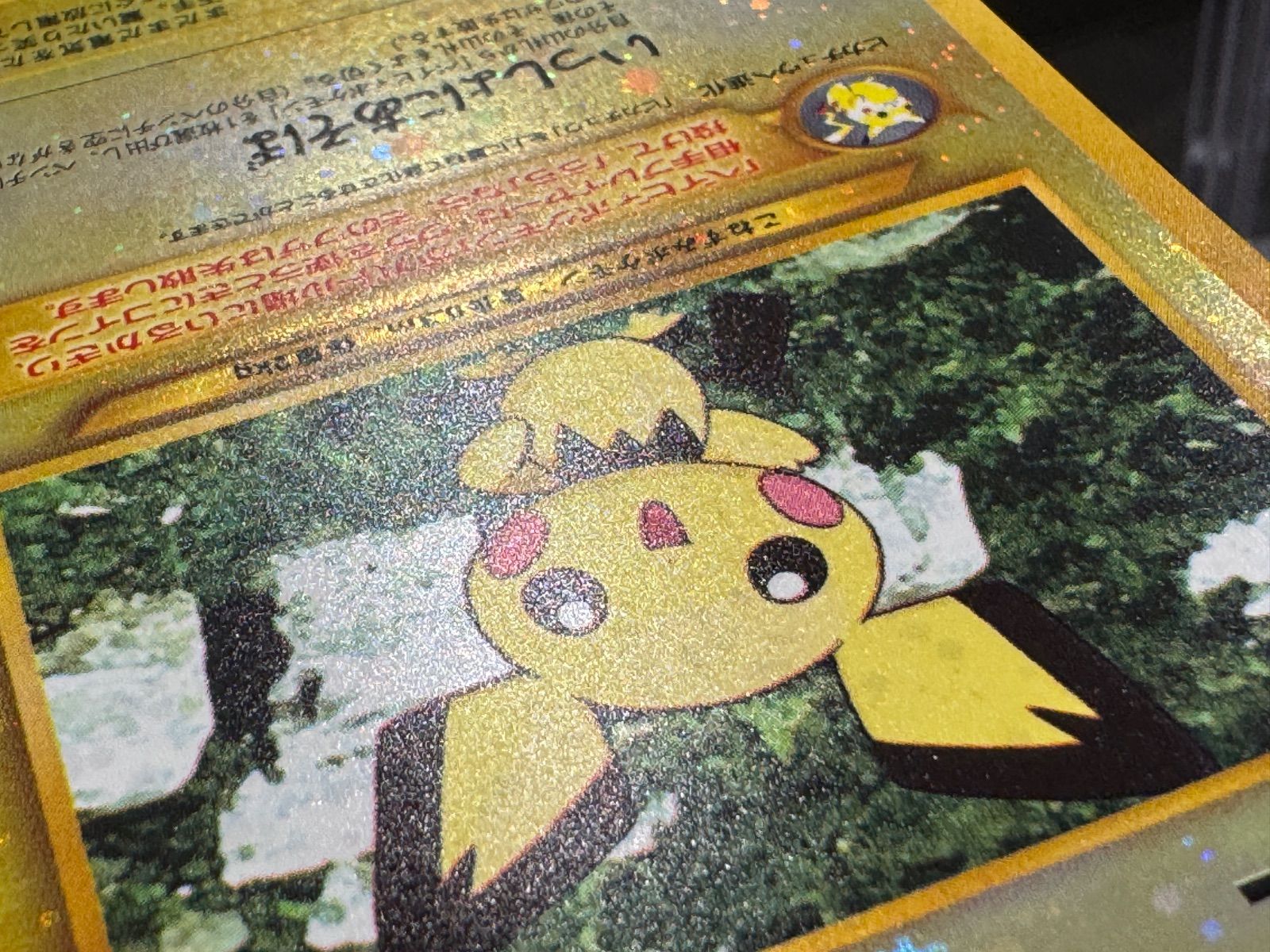 旧裏】ピチュー LV.4 No.172 プレミアムファイル2 ポケモンカード
