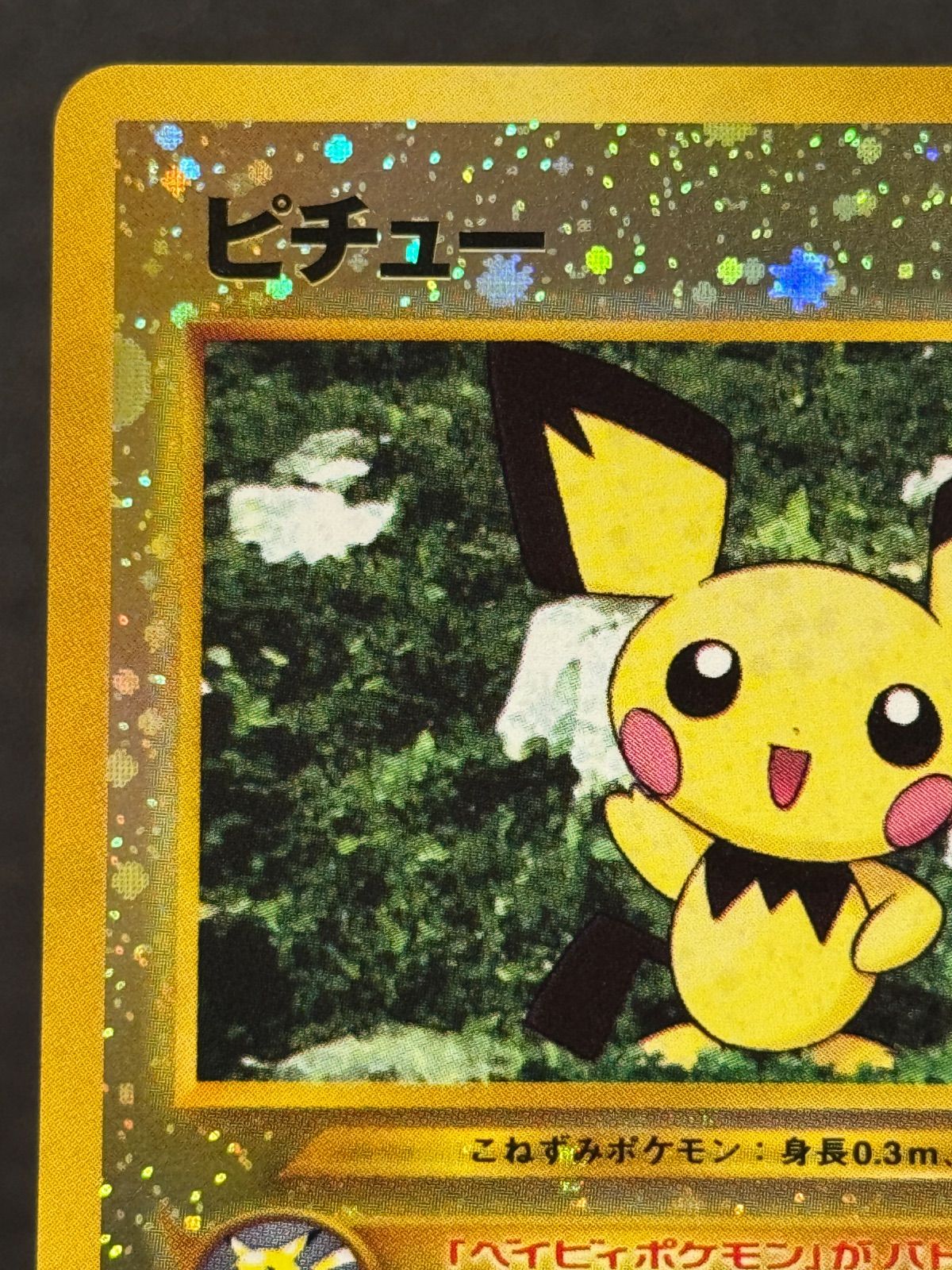 旧裏】ピチュー LV.4 No.172 プレミアムファイル2 ポケモンカード
