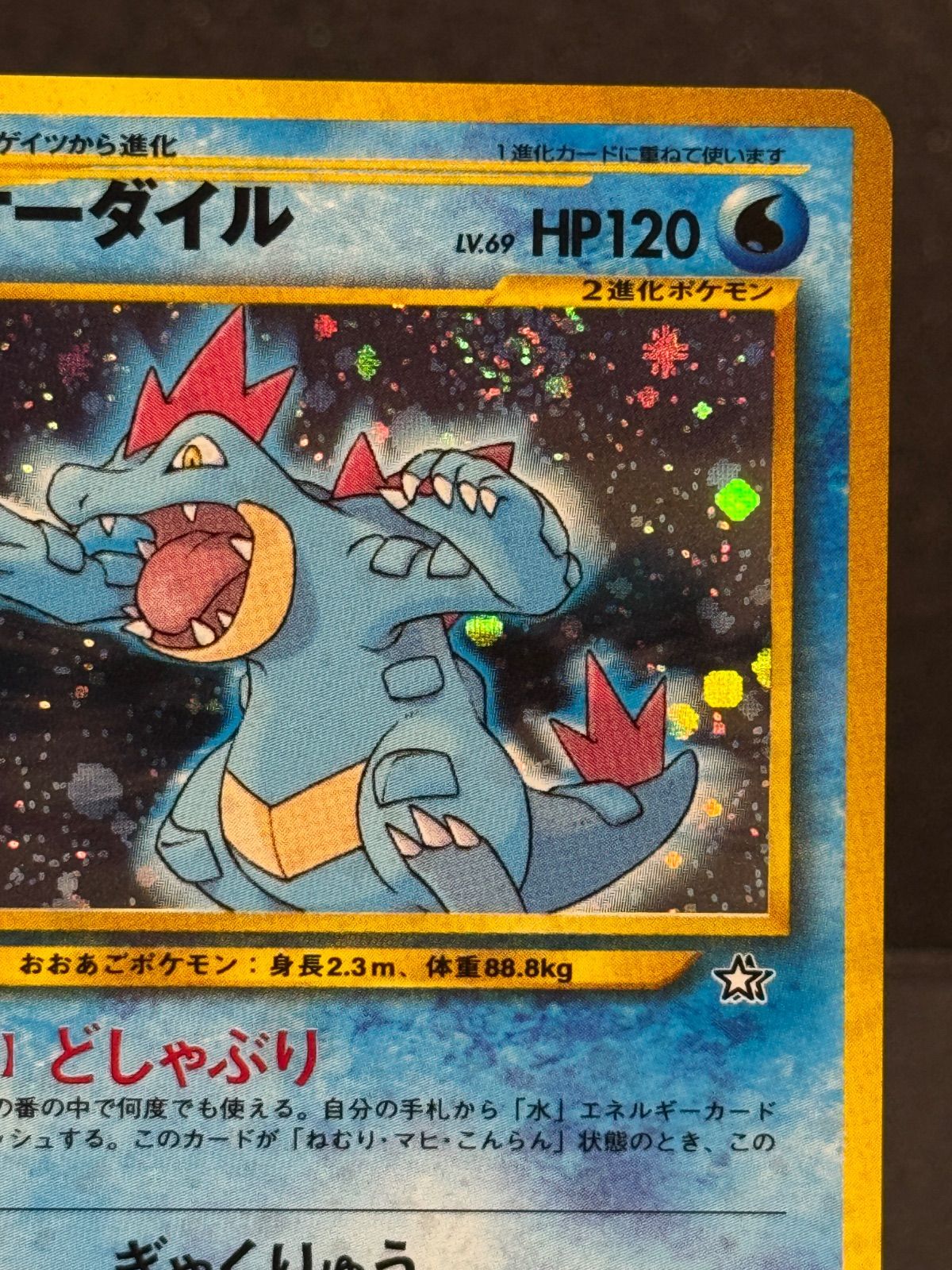 旧裏】オーダイル LV.69 No.160 プレミアムファイル ポケモンカード