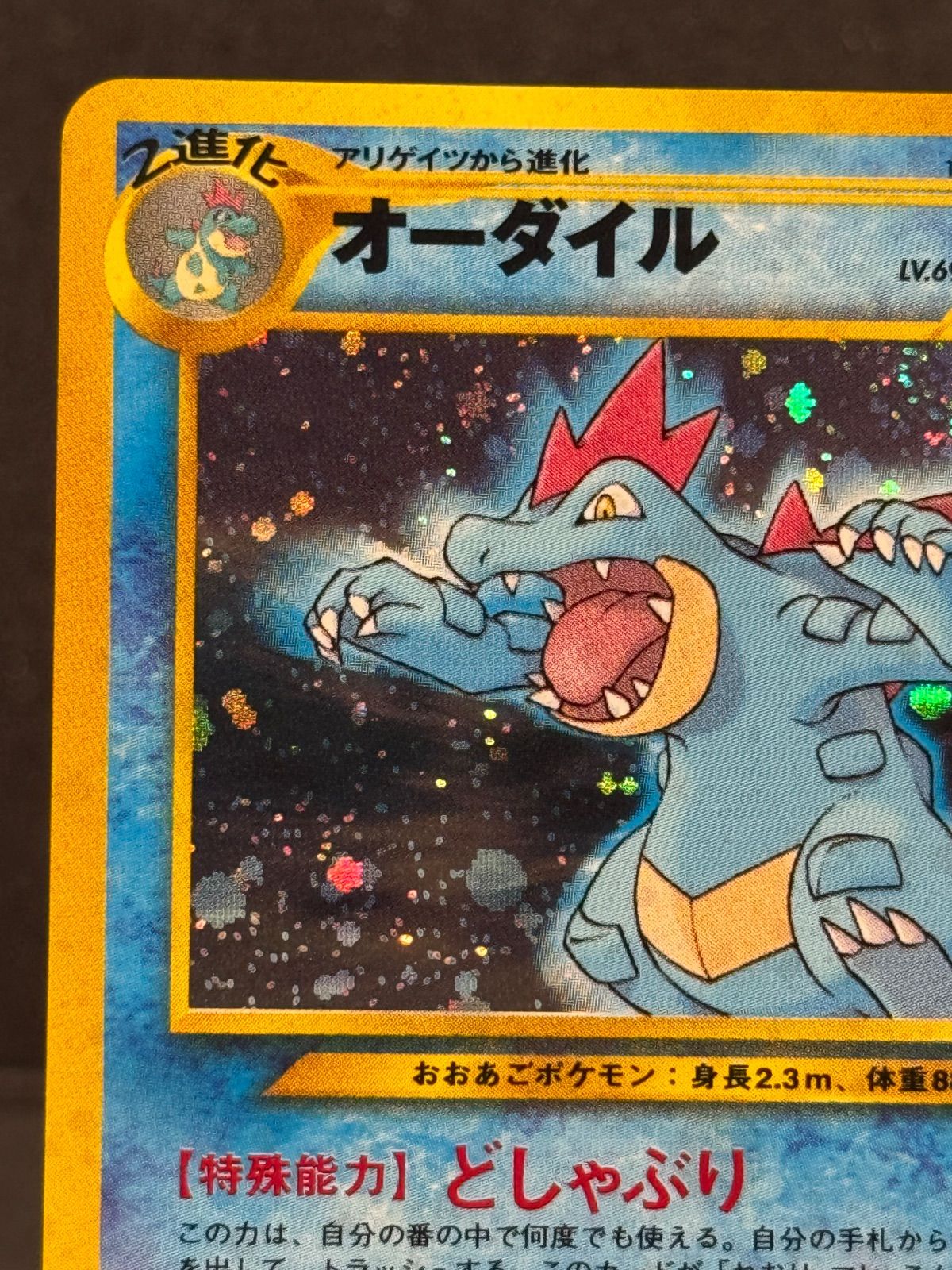 旧裏】オーダイル LV.69 No.160 プレミアムファイル ポケモンカード 