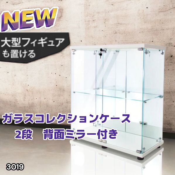ショーケース 鍵付き ケース 小形冷蔵ショーケース 鍵付 総合的理化学