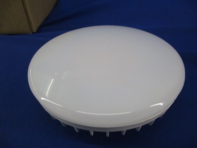 ライト・照明 LED軒下用シーリングライト OG254601