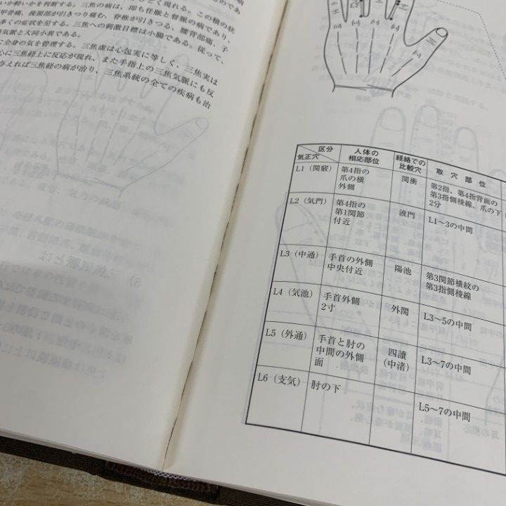 驚きの破格値，豊富な 01)【1点限り!】高麗手指鍼講座/日本語