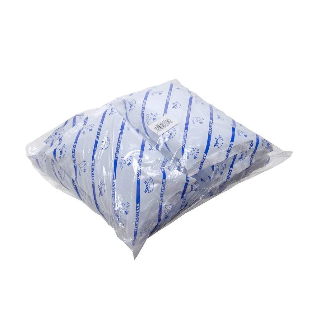 【在庫処分】ブルー 10個 11×20cm 300g 日本製 保冷剤 お弁当 アウトドア スポーツ 三重化学工業 業務用 DR-532