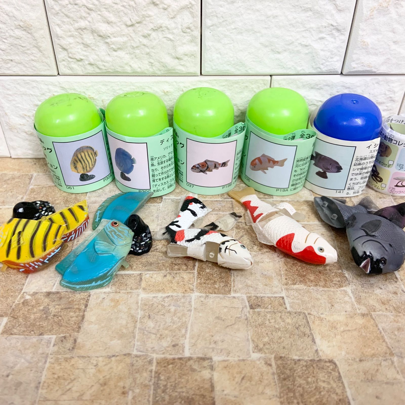 チョコエッグ【未組立】魚 5種セット チョコエッグ 日本の動物