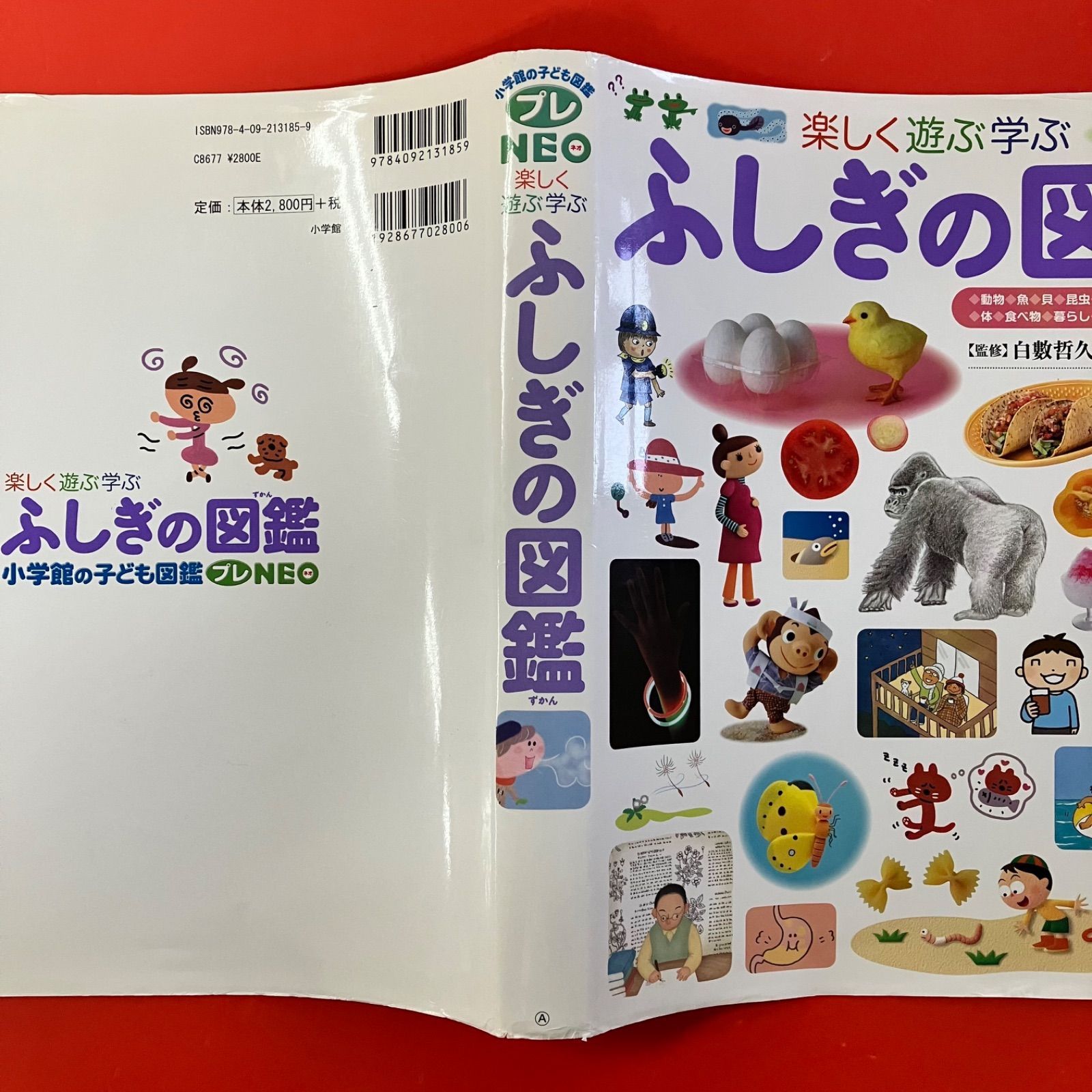小学館の子ども図鑑プレNEO ふしぎの図鑑 lp_c34_515 - メルカリ