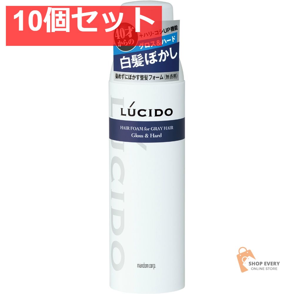 ルシード 白髪用整髪フォーム グロス&ハード 10個セット まとめ売り