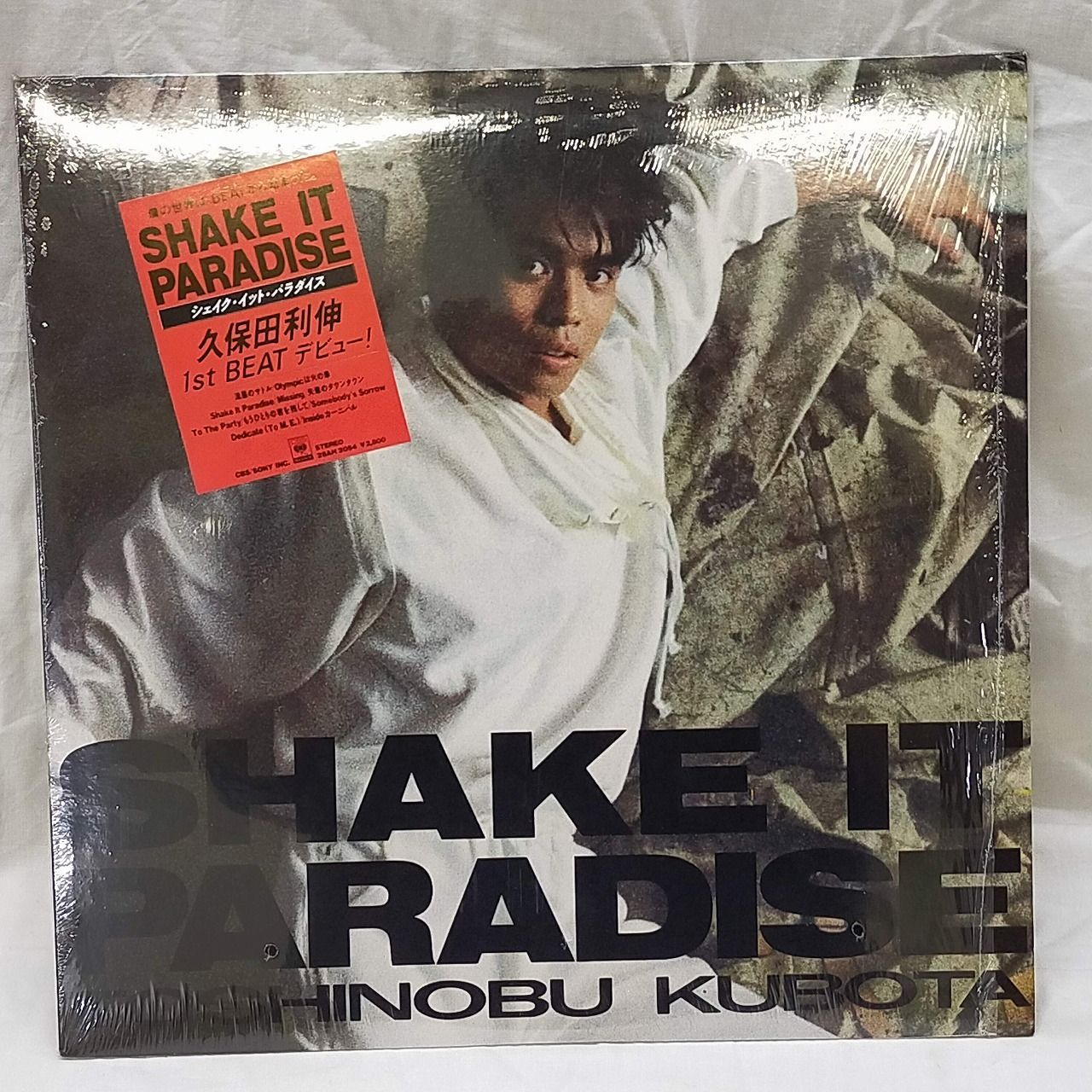 LPレコード2029】Toshinobu Kubota 久保田利伸 / Shake It Paradise
