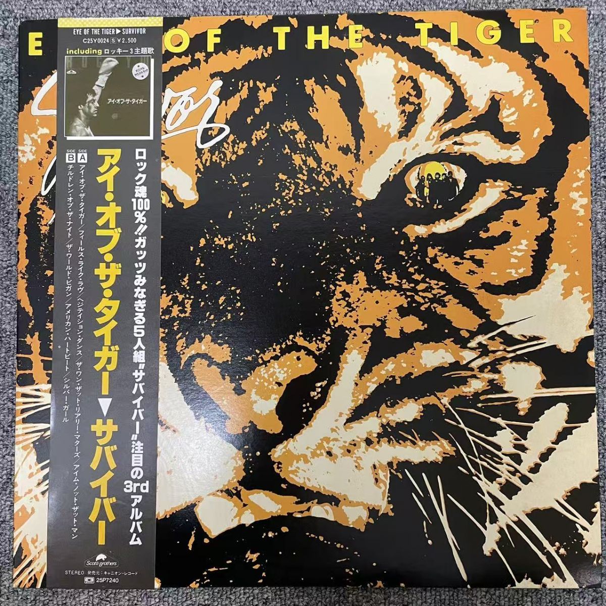帯付 Rock LP / Survivor (サバイバー) Eye Of The Tiger / Scotti