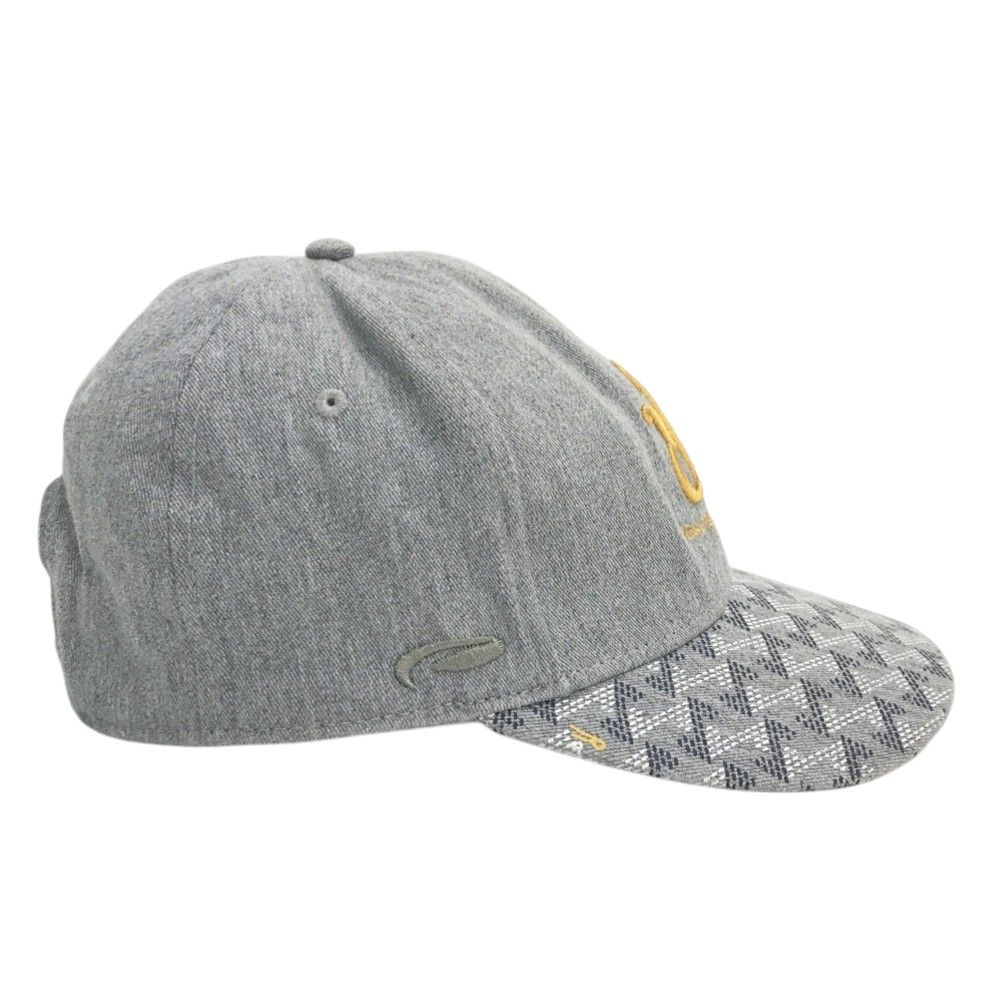 RESURRECTION レザレクション キャップ ロゴ総柄 グレー系 ONE SIZE