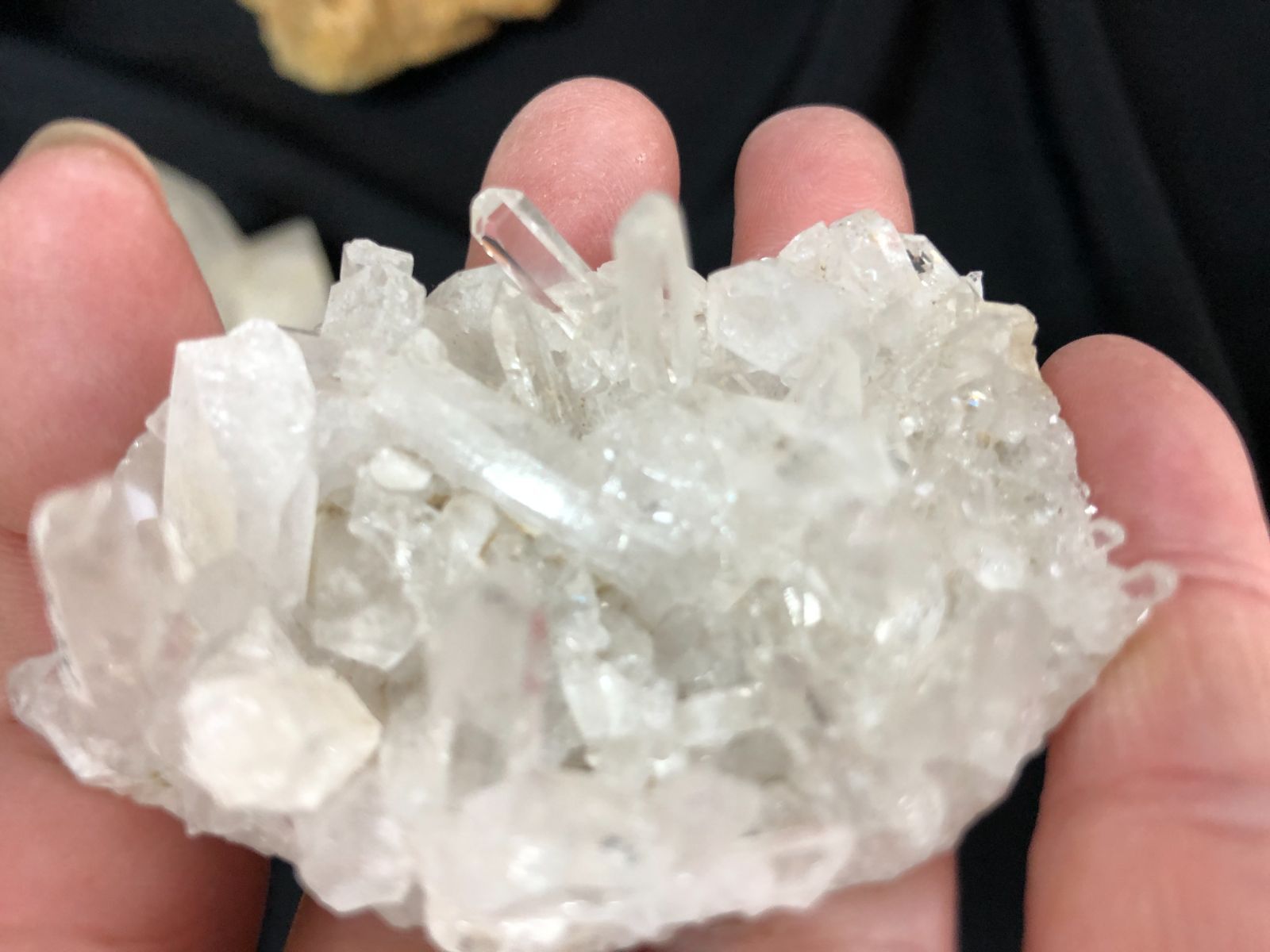 インド|プネー産