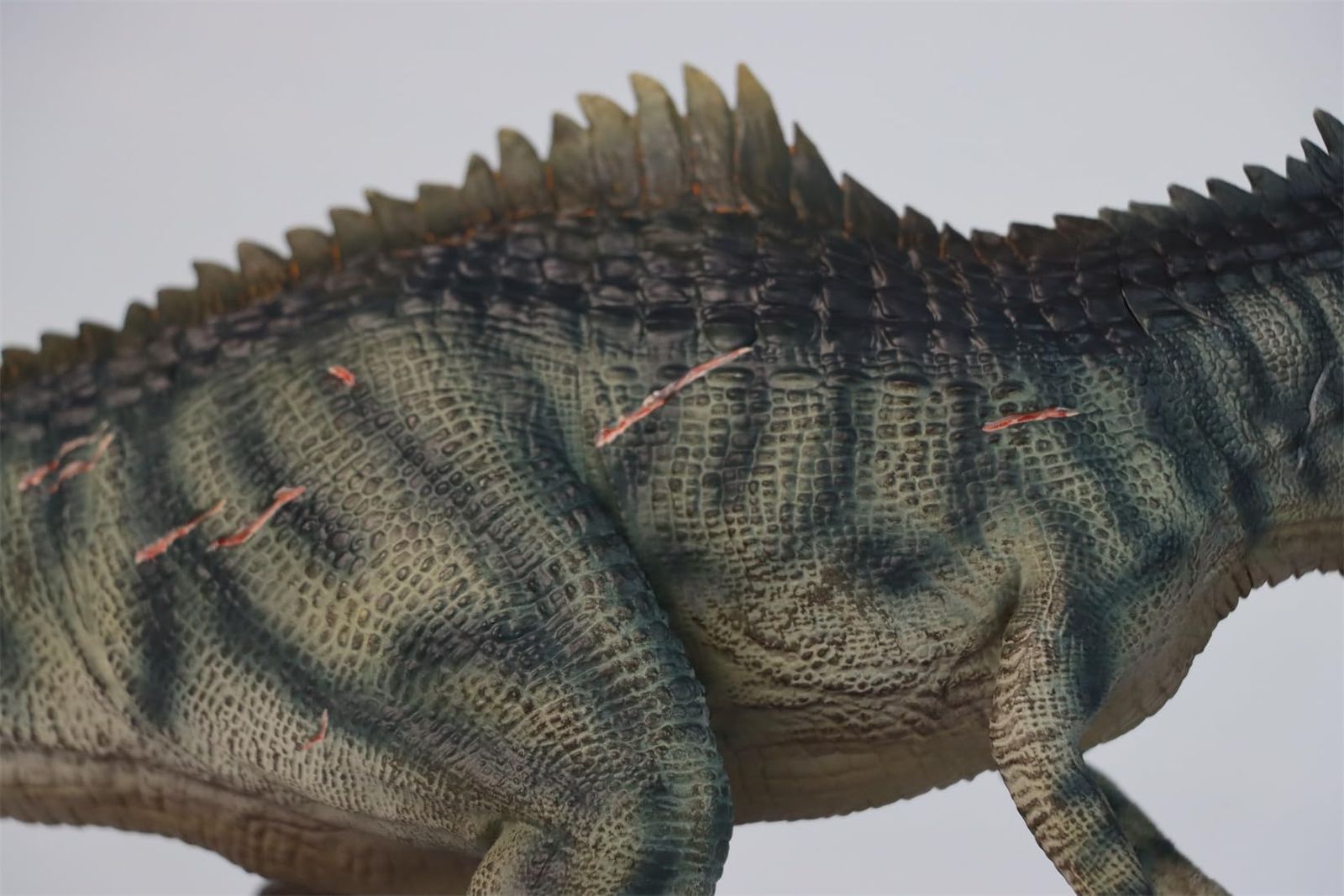 人気セール，SALE DINO DREAM 1/30 サイズ ギガノトサウルス 限定版