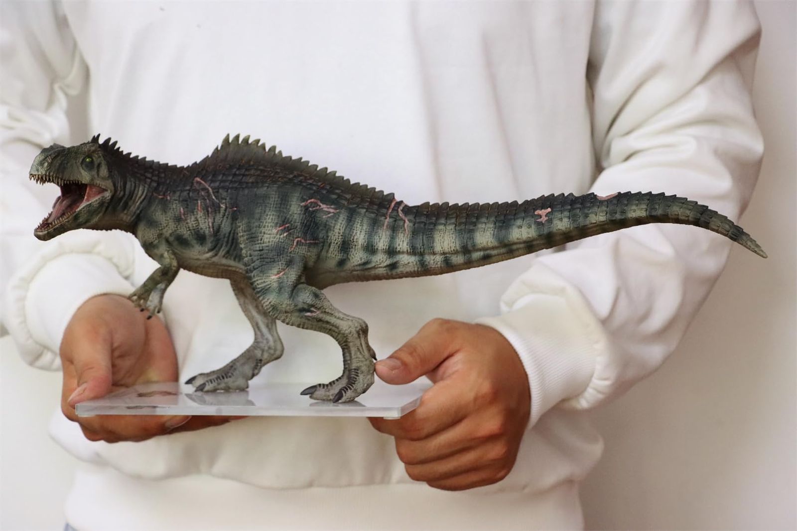 人気セール，SALE DINO DREAM 1/30 サイズ ギガノトサウルス 限定版