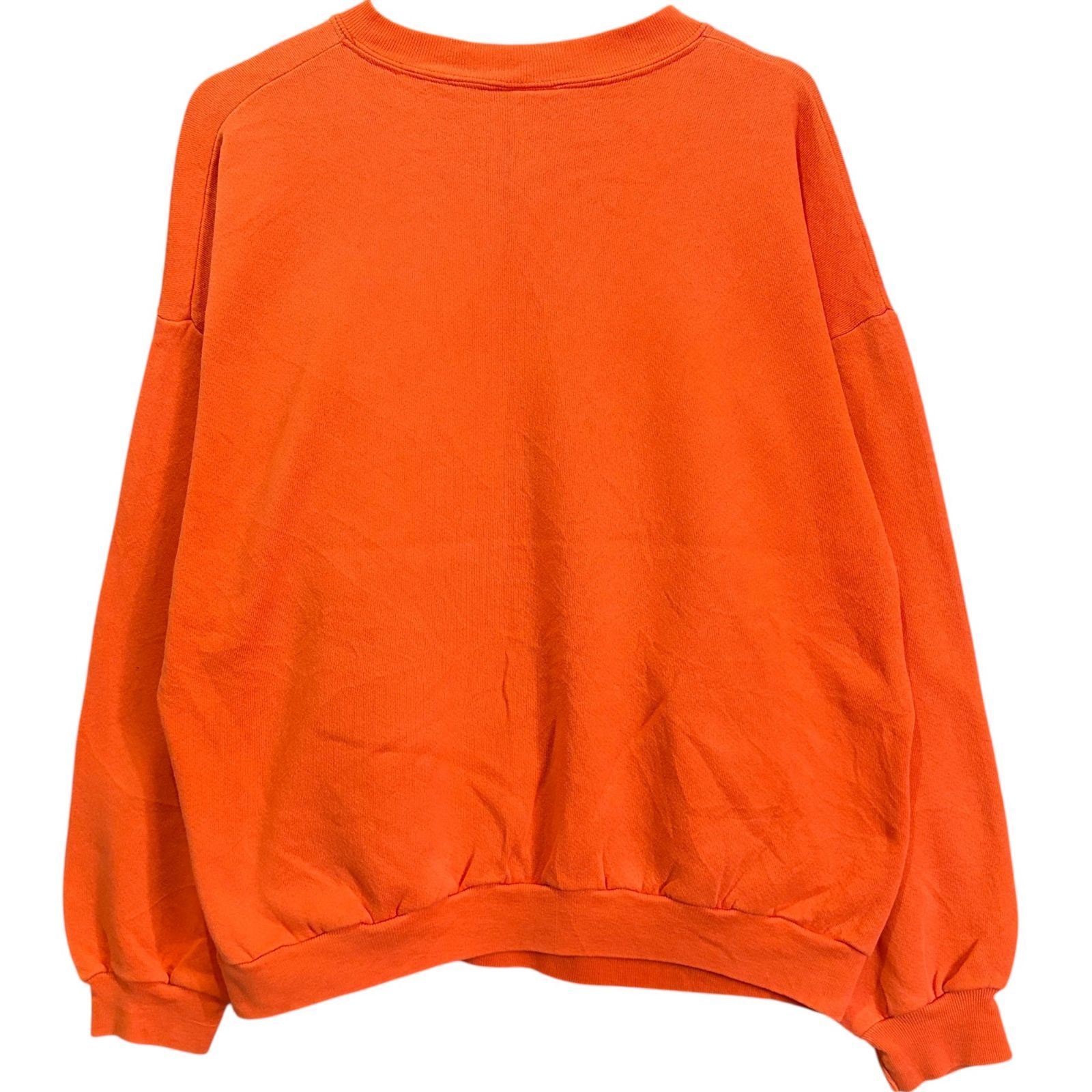 90年代 USA製 TULTEX タルテックス UNIVERSITY OF VIRGINIA バージニア 