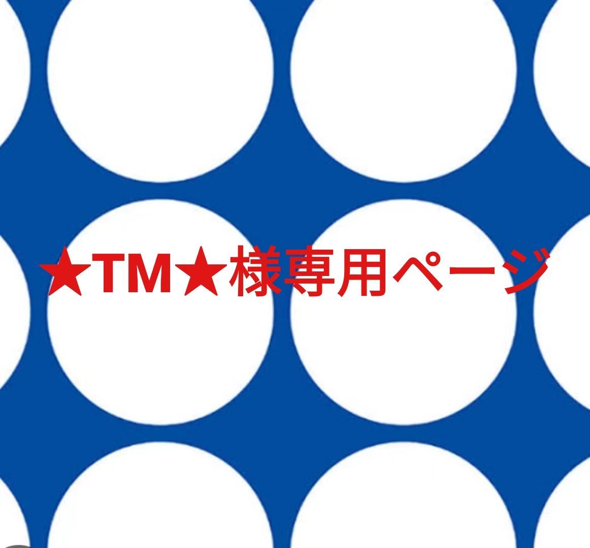 ☆TM☆様専用ページです。 - メルカリ