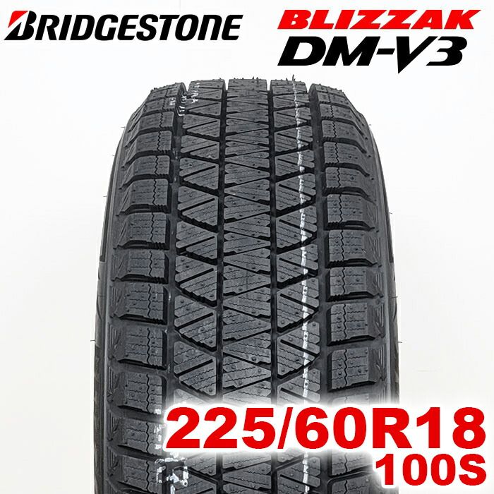 2024年製】 送料無料 BRIDGESTONE 225/60R18 100S BLIZZAK DM-V3 