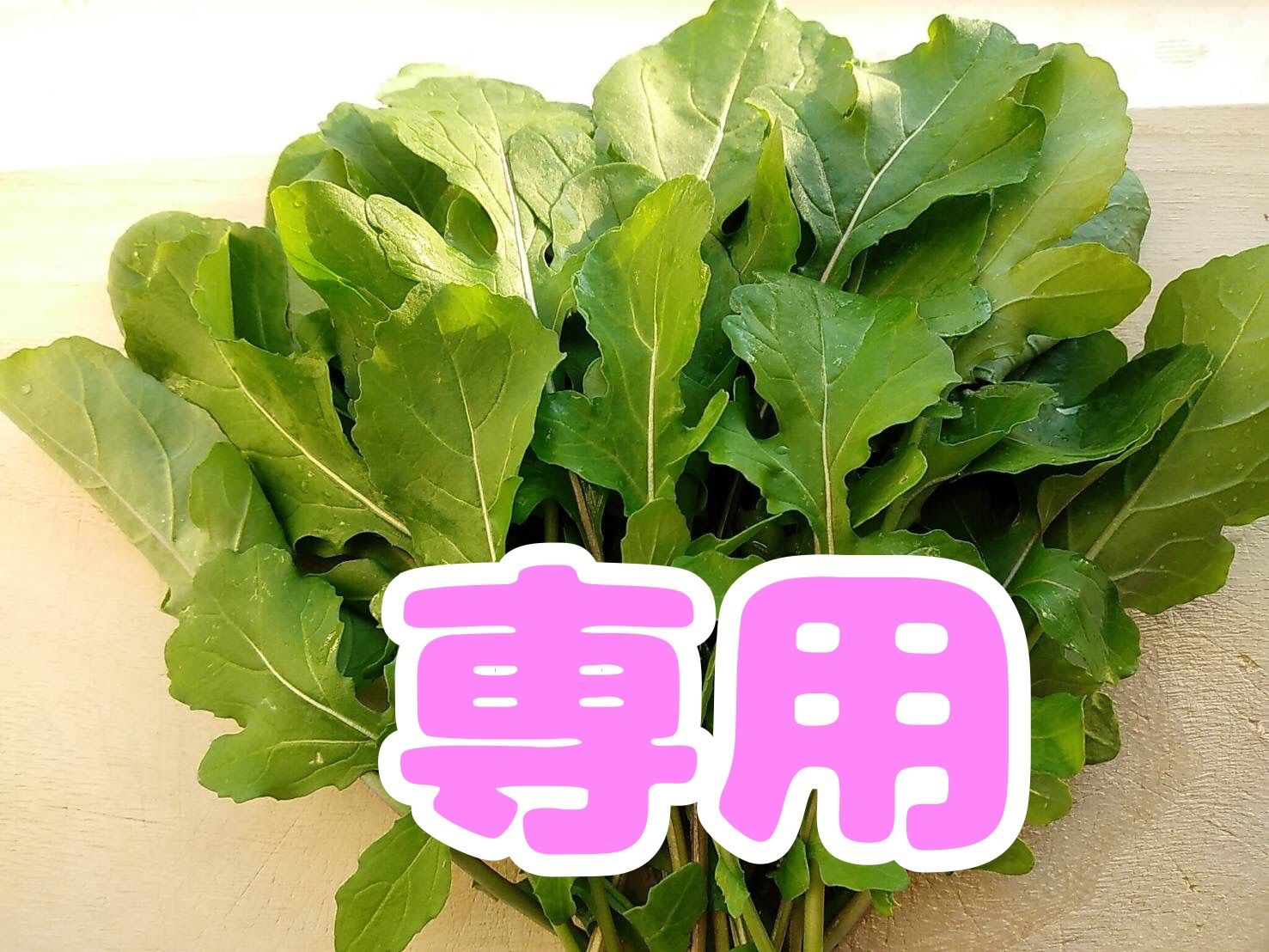 佐恵様用