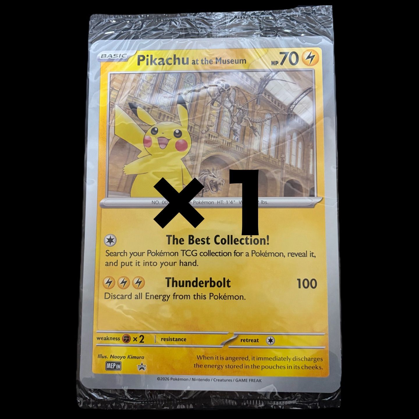 即納】新品未開封 ポケモンカード ピカチュウ プロモ 自然史博物館