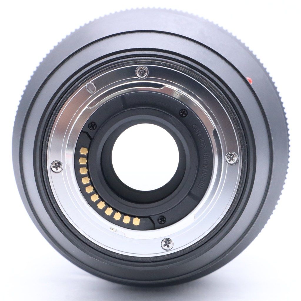 極上品】 Panasonic Leica DG VARIO-SUMMILUX 10-25mm F1.7 ASPH