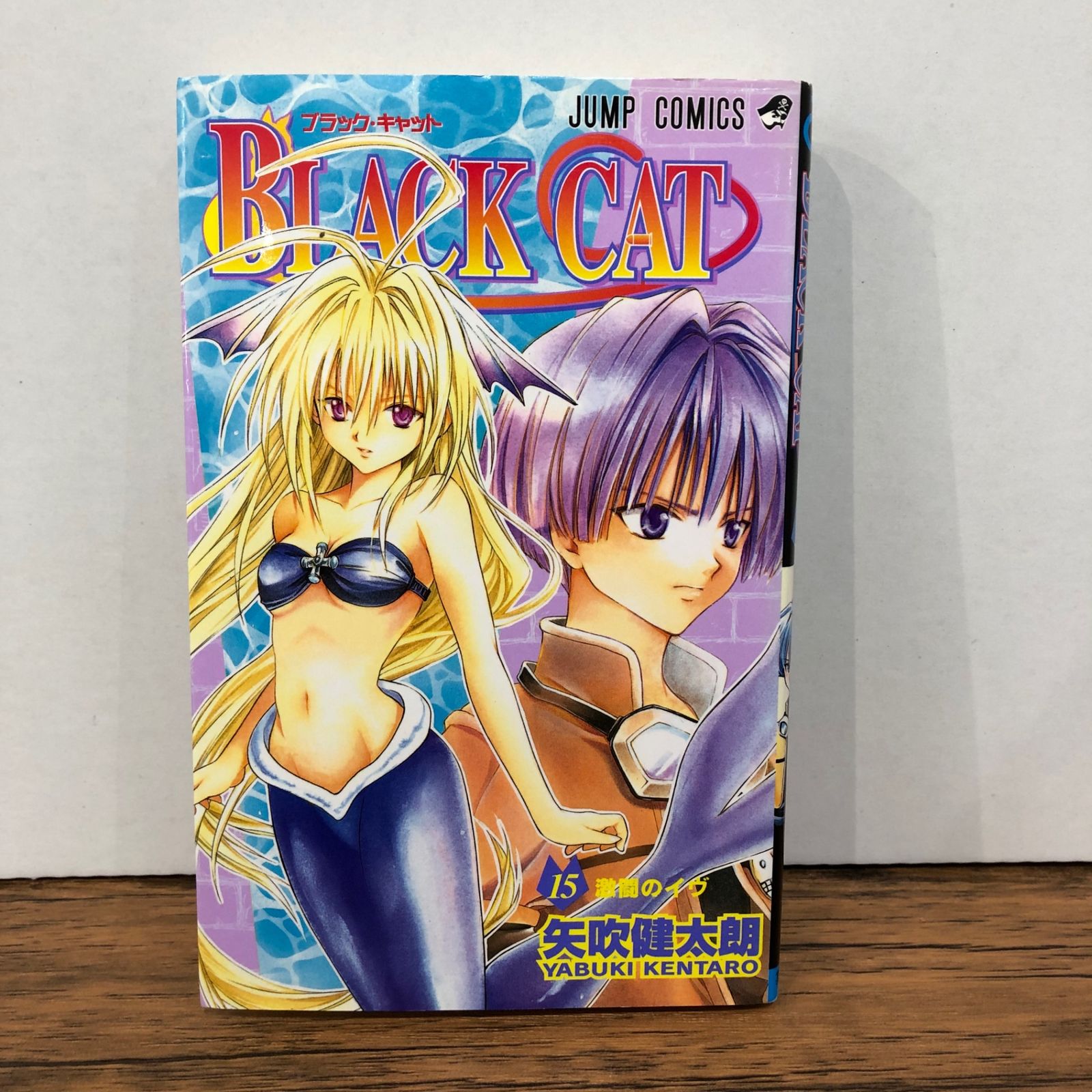 BLACK CAT 15巻/【作者】矢吹健太朗/GF-0226020080-YP/GF08761 - メルカリ