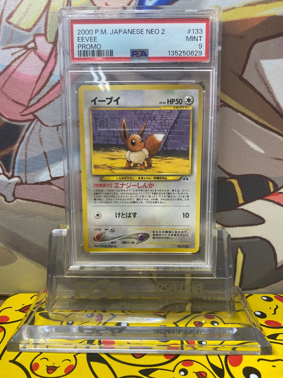 イーブイ PSA10 旧裏 プレミアムファイル 133 イーブイ 旧裏