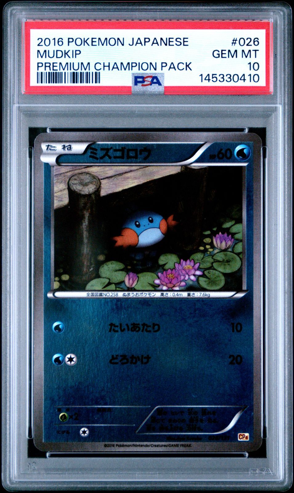 psa 2枚　ミズゴロウ　2016年 XY & プレミアムチャンピオンパック PSA10】【世界63枚】ミズゴロウ 026/131 プレミアムチャンピオンパック