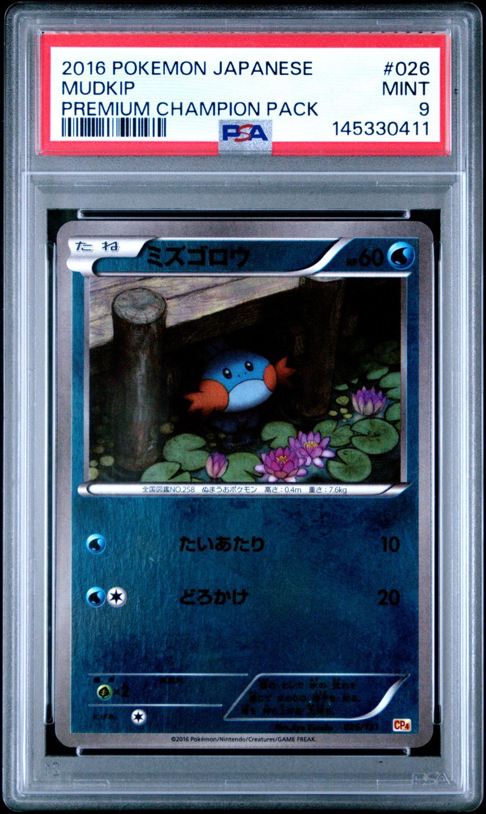 psa 2枚 ミズゴロウ 2016年 XY & プレミアムチャンピオンパック 【公式