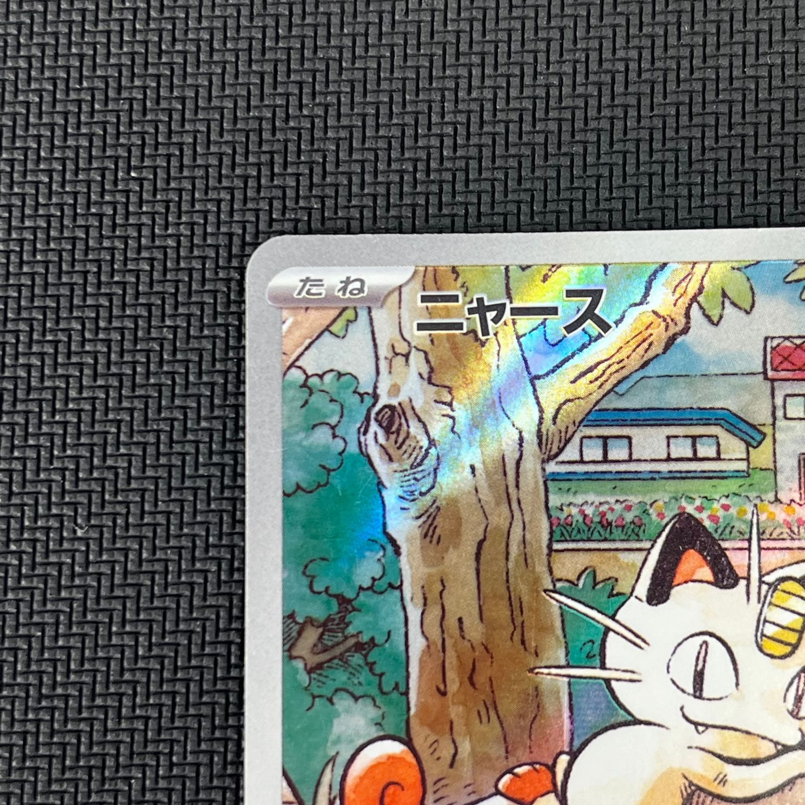 ポケカ ニャース PROMO プロモ 192/SV-P スタートデッキGenerations