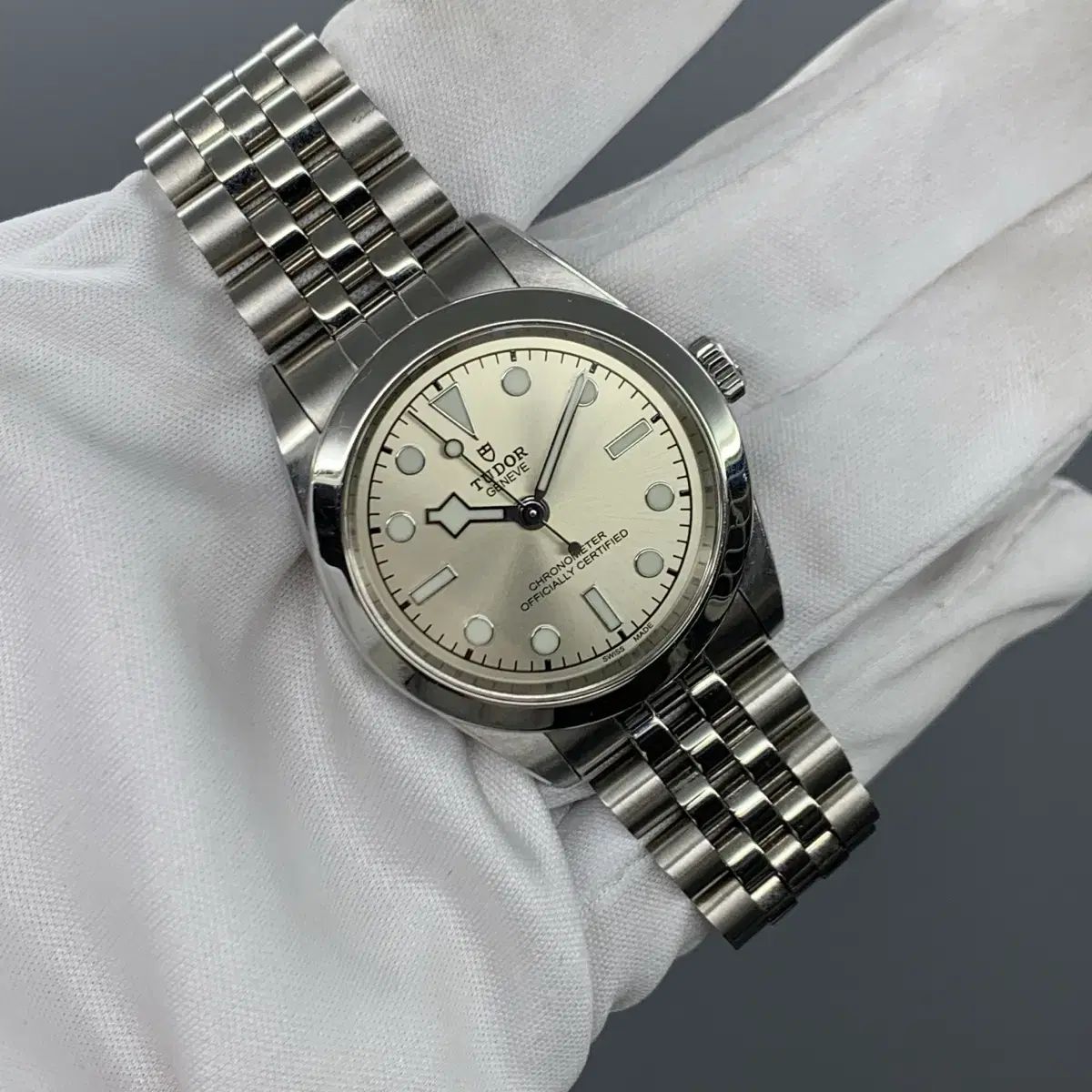 チューダー ブラック