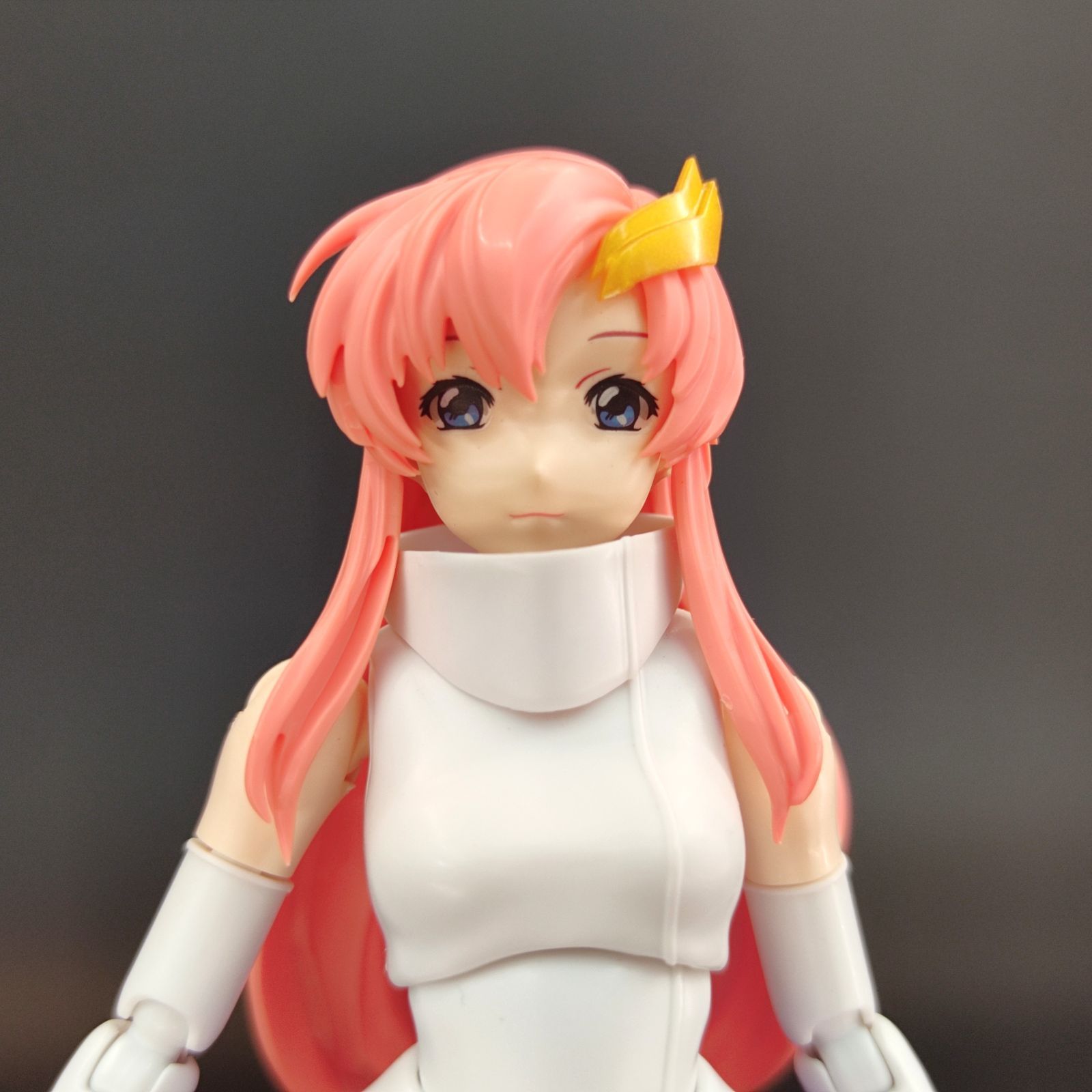 Figure-rise Standard SEED【未検品/ジャンク】ラクス・クライン 付属