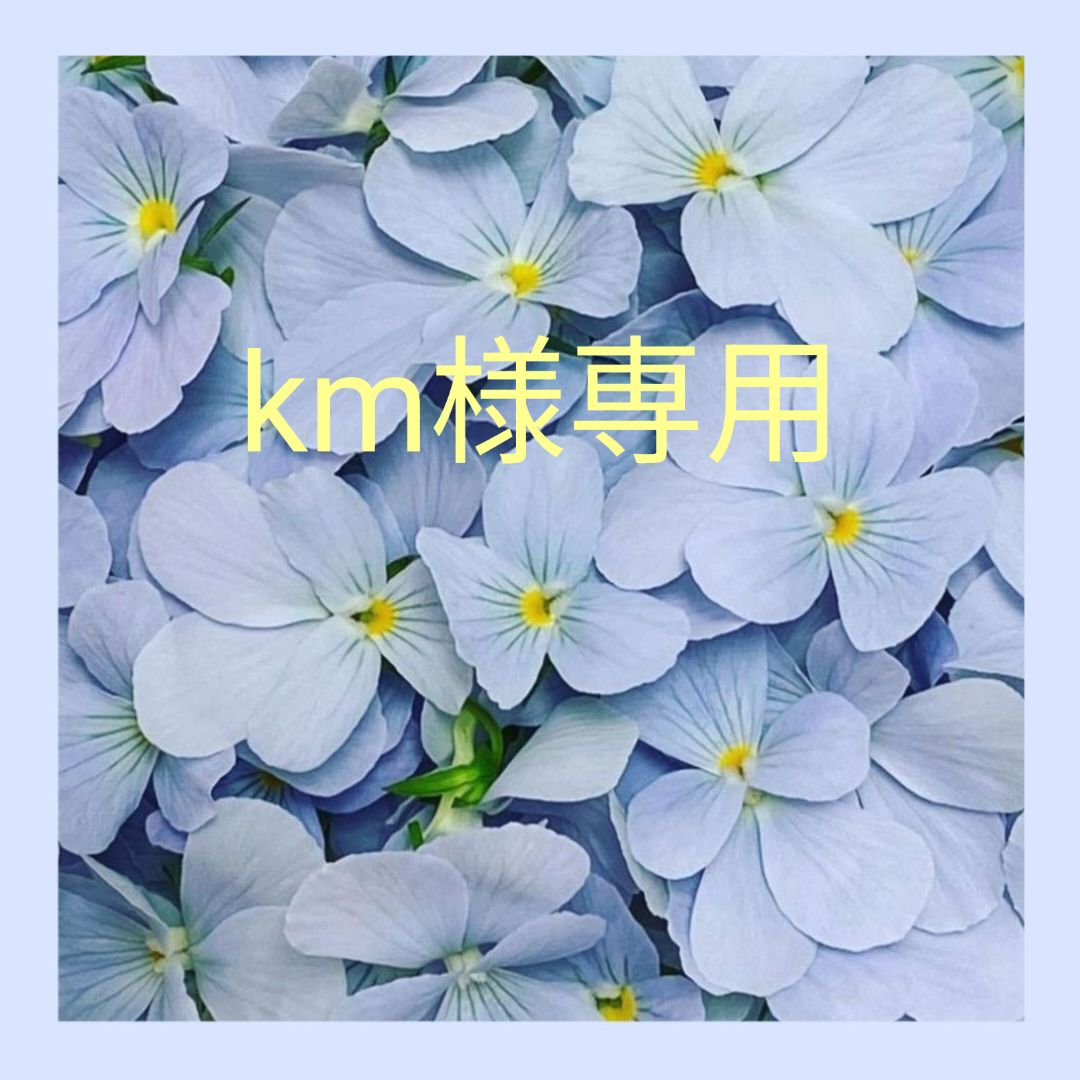 km様専用 - メルカリ km様専用 - メルカリ