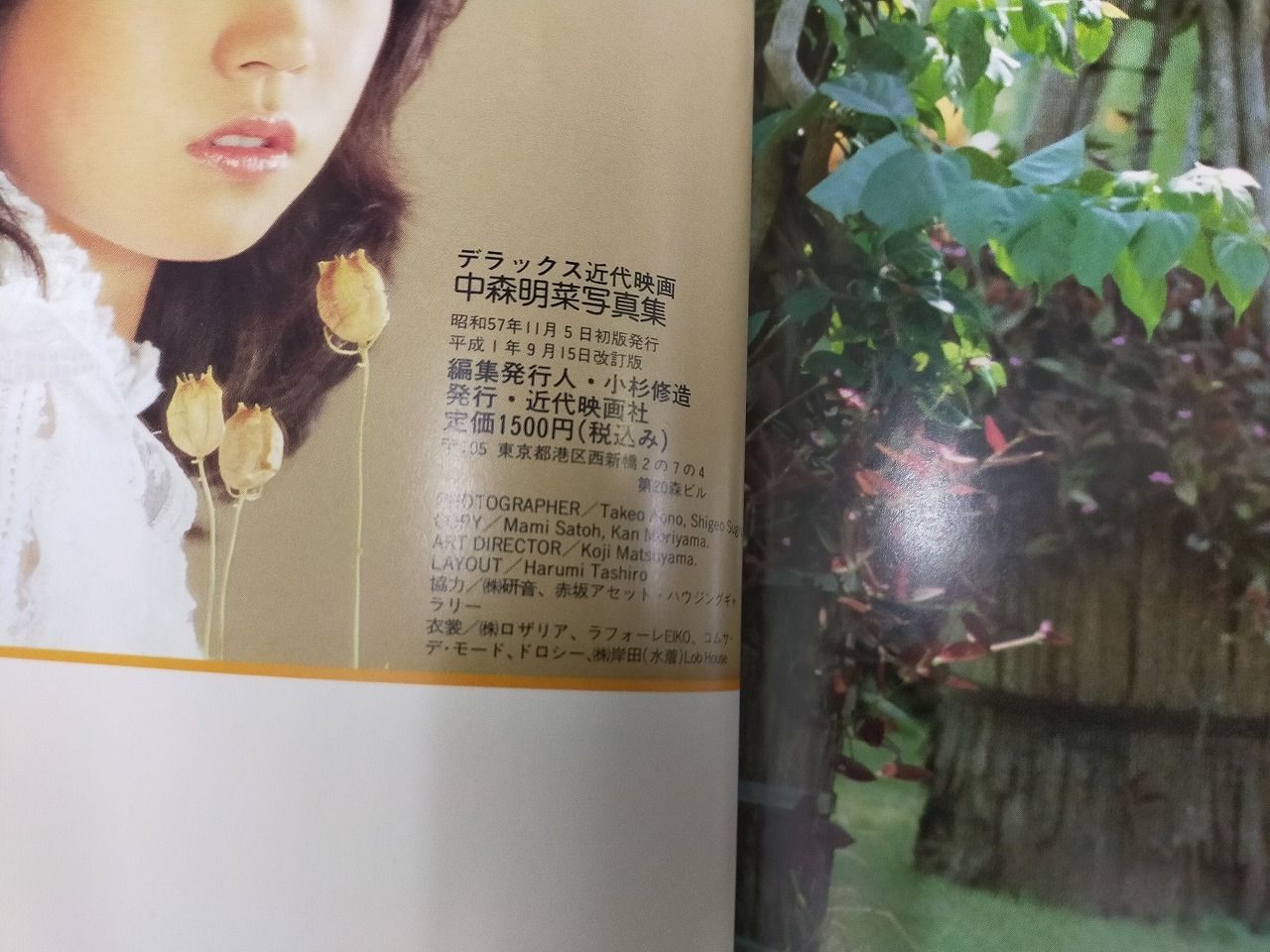 中森明菜 写真集 デラックス近代映画 平成元年改訂版(中森明菜)｜売買