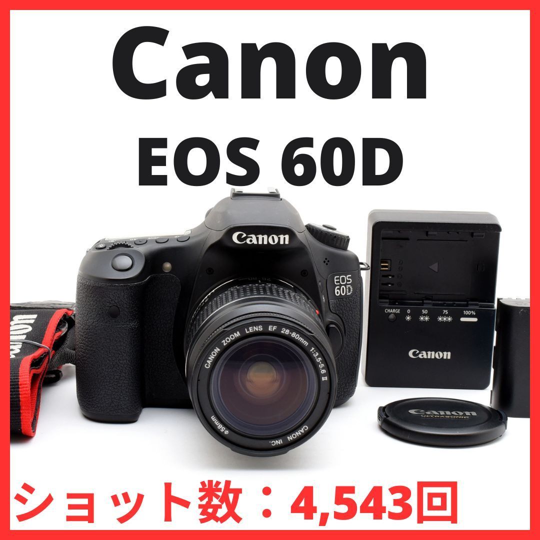 C27[7484]10☆美品☆ キヤノン Canon EOS 60D ボディ レンズ