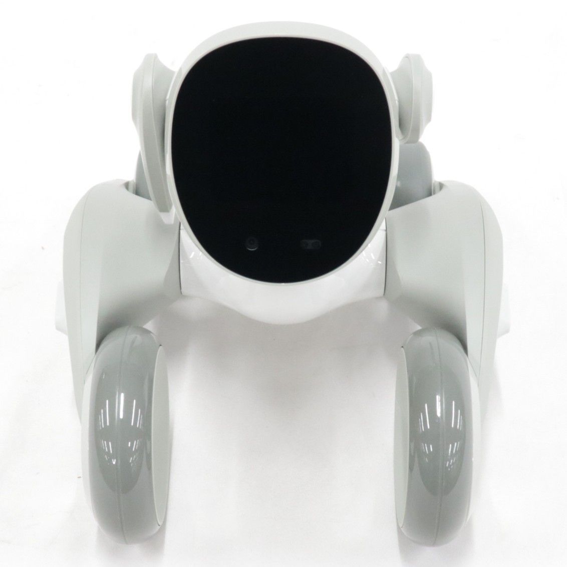 人気SALE，お買い得 中古 Loona Japan Loona Blue ペットロボット