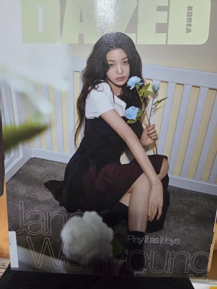 超激得，送料無料 DAZED KOREA 2025 4月号 ウォニョン(WONYOUNG