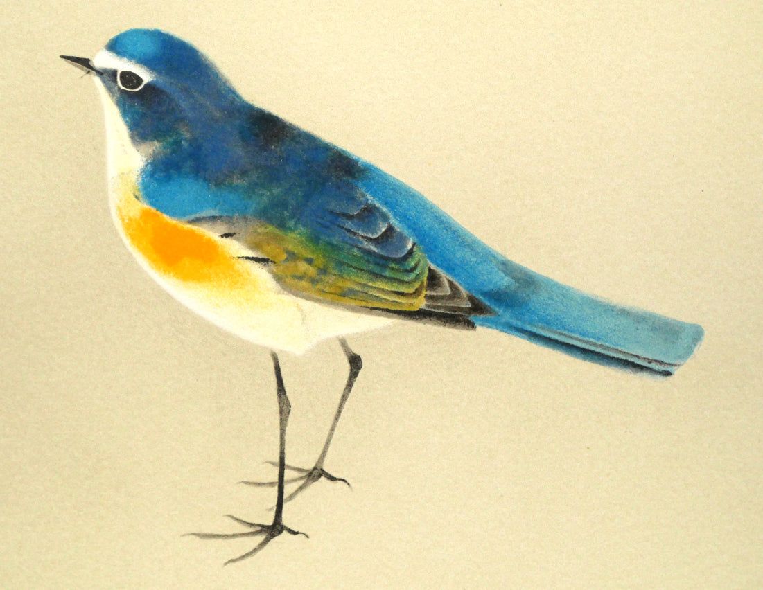 驚きの破格値，新作登場 上村淳之 野駒 リトグラフ 絵画 真作