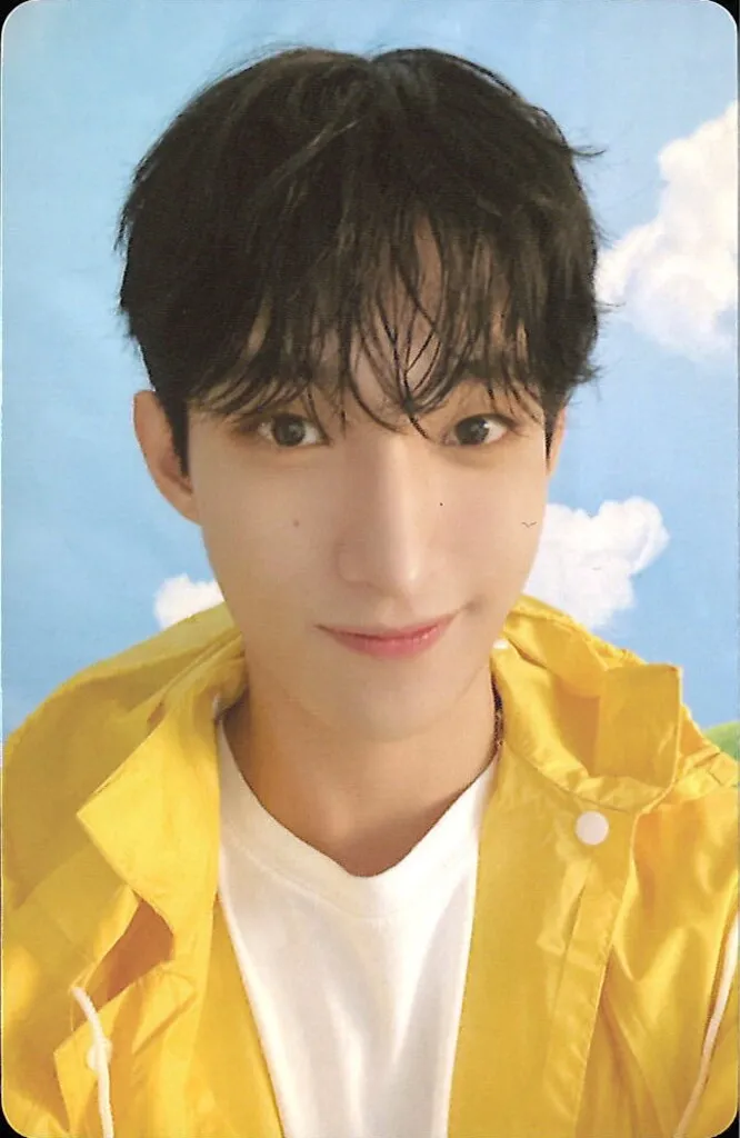 DK - SEVENTEENTH HEAVEN Album PC photocard photocard