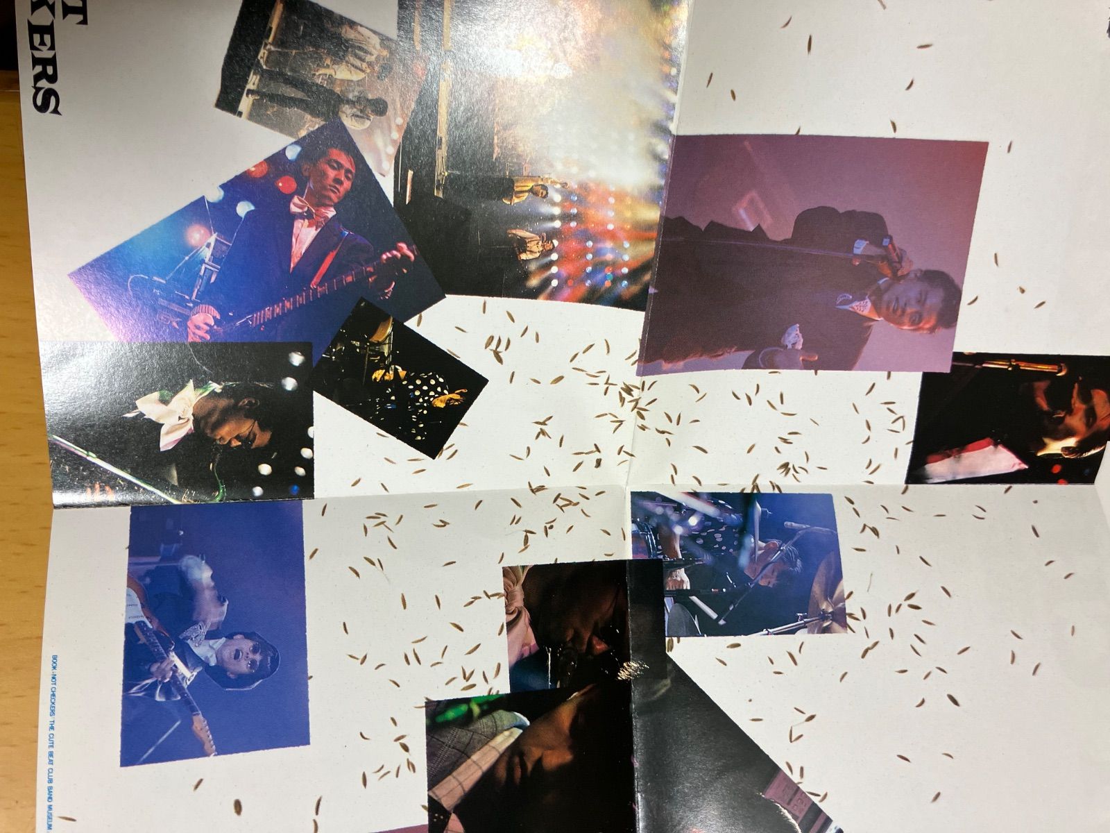 CUTE BEAT CLUB BAND / 円高差益還元ライブ NOT CHECKERS キュート